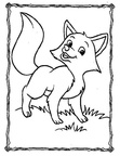 Fox Coloring Book Page