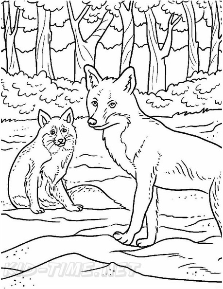 Fox_Coloring_Pages_020.jpg