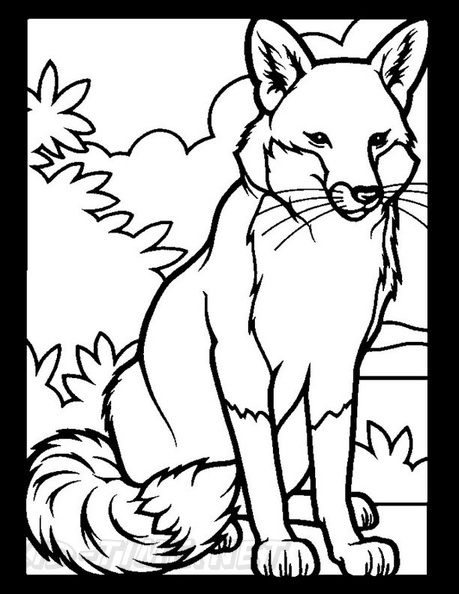 Fox_Coloring_Pages_049.jpg
