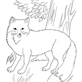 Fox_Coloring_Pages_059.jpg