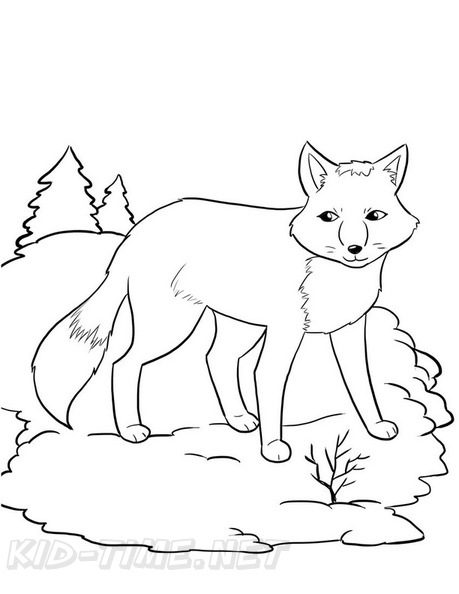 Fox_Coloring_Pages_062.jpg
