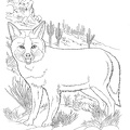 Fox_Coloring_Pages_065.jpg