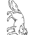 Fox_Coloring_Pages_073.jpg