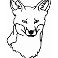 Fox_Coloring_Pages_104.jpg
