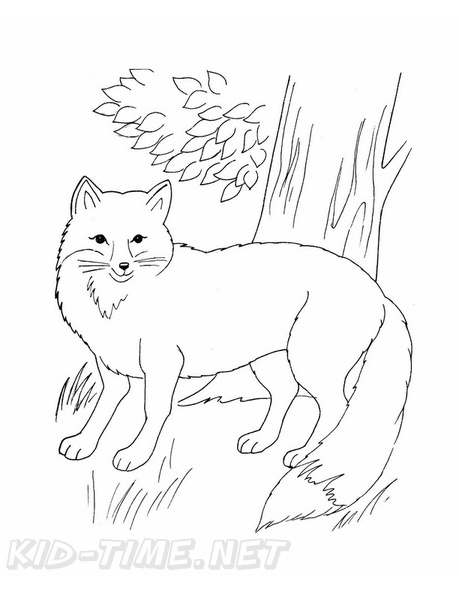 Fox_Coloring_Pages_119.jpg