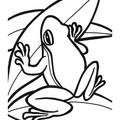 Frogs_Coloring_Pages_099.jpg