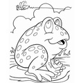 Frogs_Coloring_Pages_125.jpg