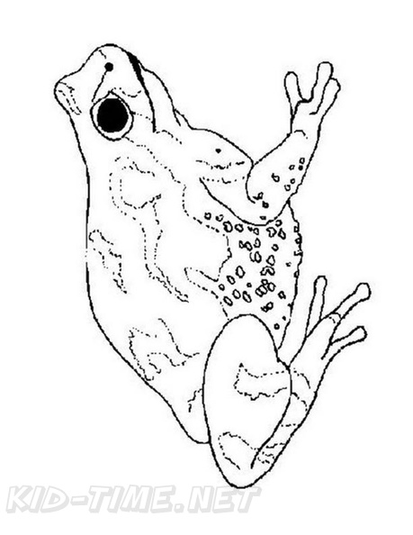 Frogs_Coloring_Pages_168.jpg