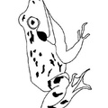 Frogs_Coloring_Pages_169.jpg