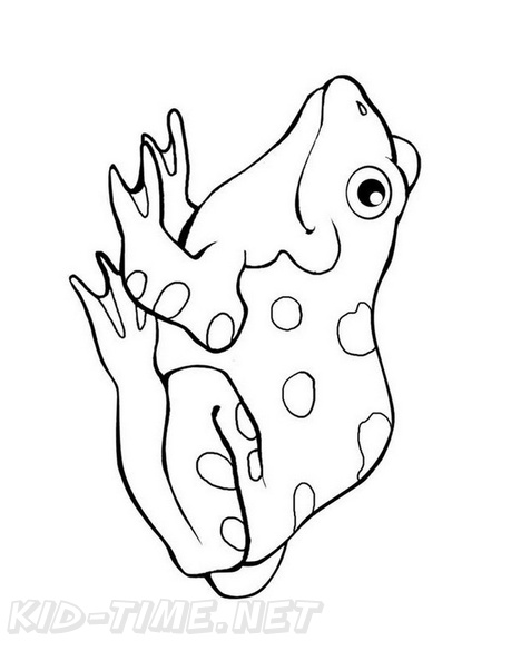 Frogs_Coloring_Pages_275.jpg