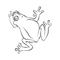 Realistic_Frog_Coloring_Pages_003.jpg