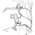 Realistic_Frog_Coloring_Pages_010.jpg