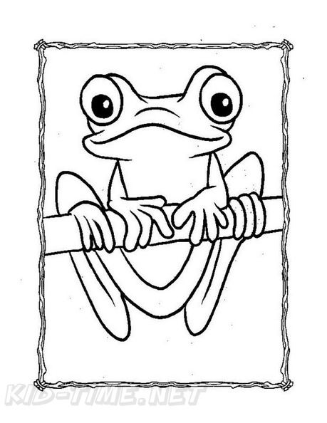 Realistic_Frog_Coloring_Pages_012.jpg