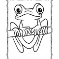 Realistic_Frog_Coloring_Pages_012.jpg