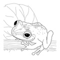 Realistic_Frog_Coloring_Pages_015.jpg