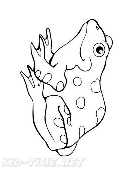 Realistic_Frog_Coloring_Pages_016.jpg
