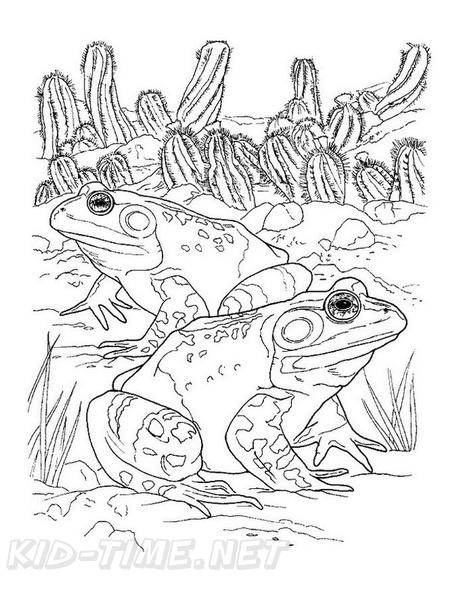 Realistic_Frog_Coloring_Pages_037.jpg