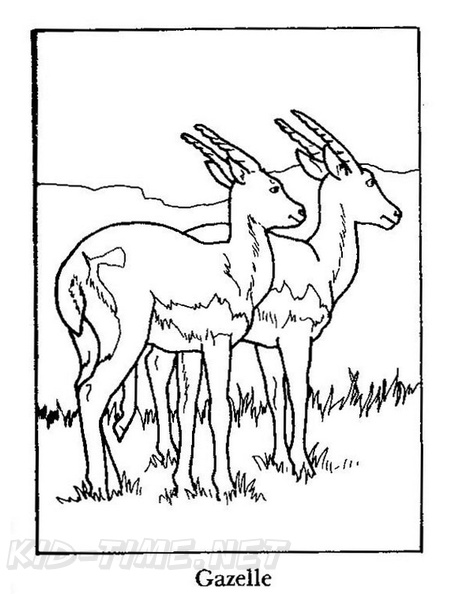 Gazelle_Coloring_Pages_002.jpg