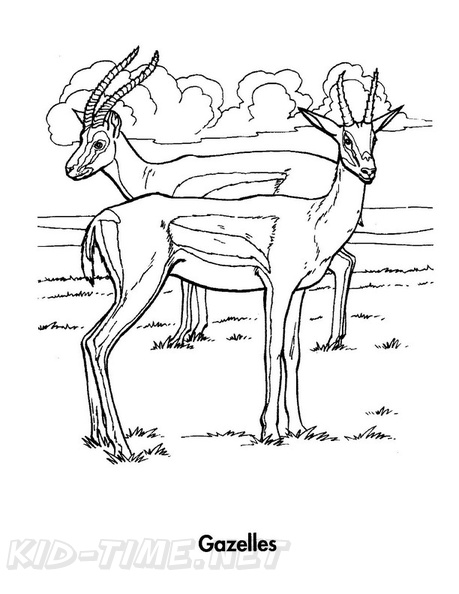 Gazelle_Coloring_Pages_003.jpg