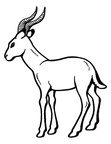Gazelle Coloring Book Page