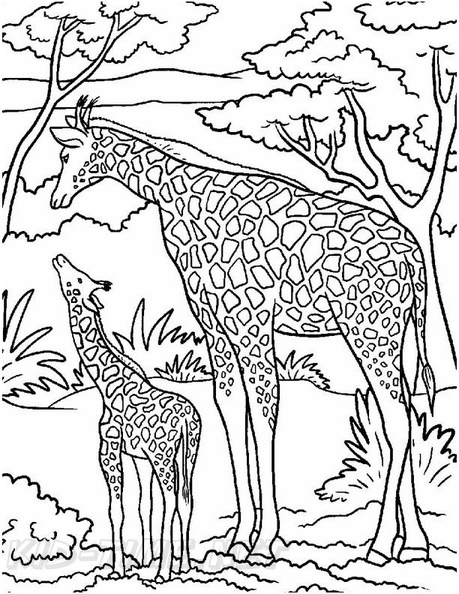 Baby_Giraffe_Coloring_Pages_016.jpg