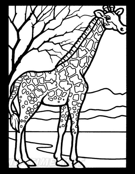 Giraffe_Coloring_Pages_006.jpg