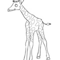 Giraffe_Coloring_Pages_099.jpg