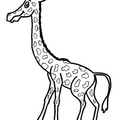 Giraffe_Coloring_Pages_167.jpg