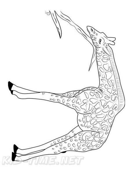 Giraffe_Coloring_Pages_256.jpg
