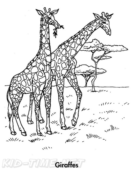 Realistic_Giraffe_Coloring_Pages_005.jpg