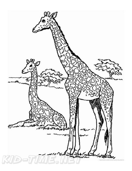 Realistic_Giraffe_Coloring_Pages_013.jpg
