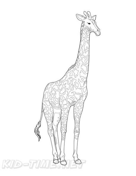 Realistic_Giraffe_Coloring_Pages_015.jpg