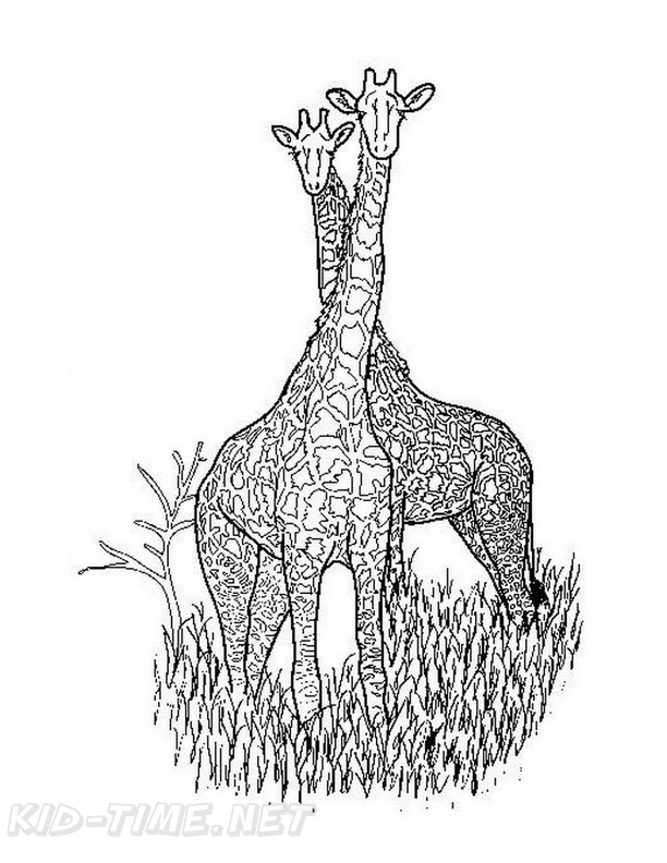 30+ awesome photos Realistic Giraffe Coloring Pages : Giraffe Coloring