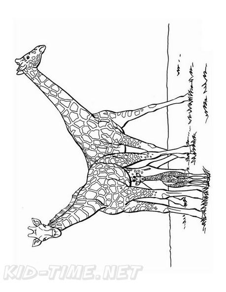Realistic_Giraffe_Coloring_Pages_027.jpg