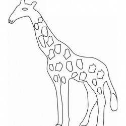 Simple Giraffe