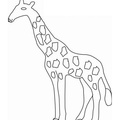 Simple_Toddler_Easy_Giraffe_Coloring_Pages_011.jpg
