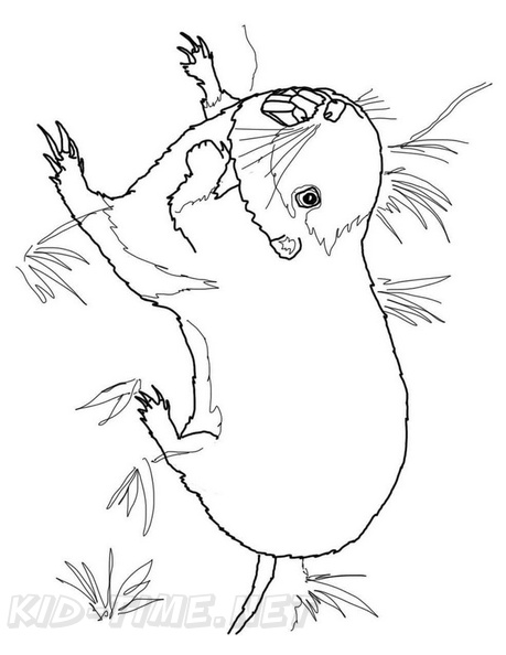 Gopher_Coloring_Pages_004.jpg