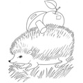 Hedgehog_Coloring_Pages_069.jpg
