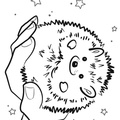 Hedgehog_Coloring_Pages_071.jpg