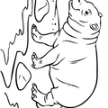 Hippo_Coloring_Pages_019.jpg