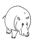 Simple Hippopotamus Hippo Toddler Coloring Book Page