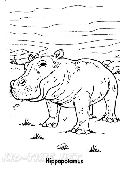Hippo_Coloring_Pages_017.jpg