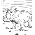 Hippo_Coloring_Pages_017.jpg