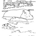Hippo_Coloring_Pages_061.jpg