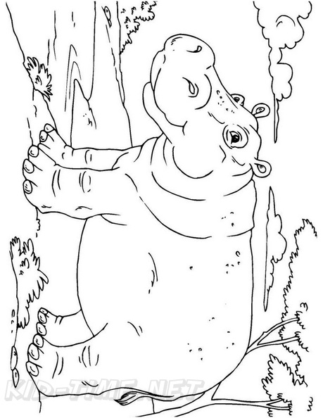 Hippo_Coloring_Pages_100.jpg