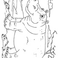 Hippo_Coloring_Pages_100.jpg