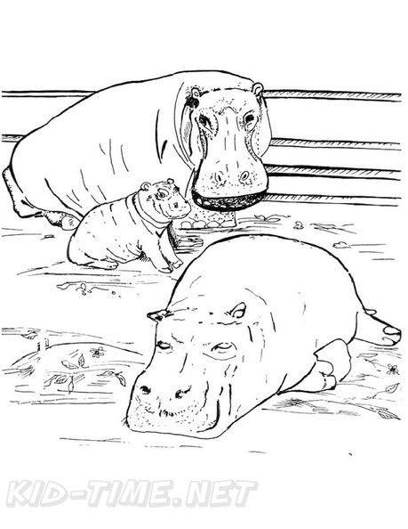 Hippo_Coloring_Pages_111.jpg