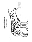Hyena Coloring Book Page