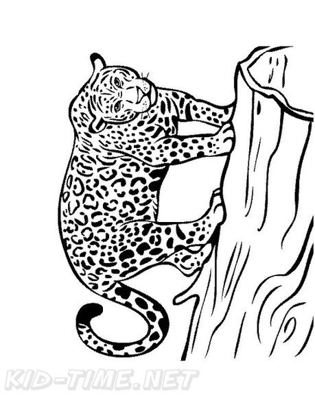 Jaguar_Coloring_Pages_018.jpg