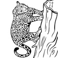Jaguar_Coloring_Pages_018.jpg